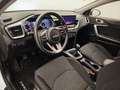 Kia Ceed / cee'd 1.0 T-GDI Concept 100 Blanco - thumbnail 9