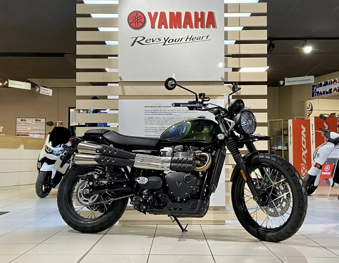 Triumph Scrambler - 1