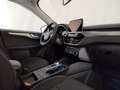 Ford Kuga III 2020 2.0 ECOBLUE TITANIUM 120CV AUTO A8 Argento - thumbnail 7