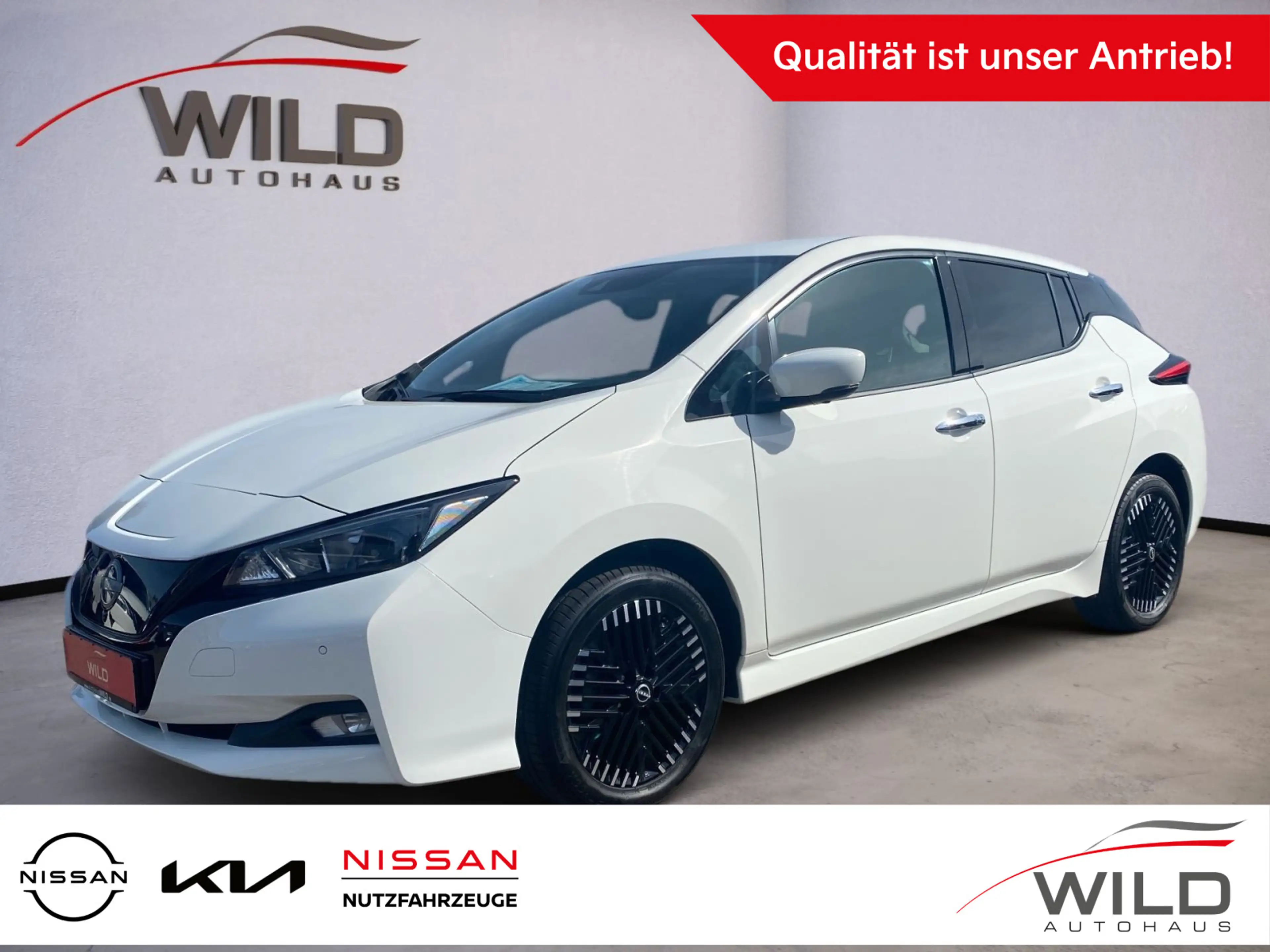 Nissan Leaf | 62 kWh | e+ Connecta | Apple | 18 Zoll