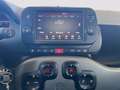 Fiat Panda Panda III 2021 Cross Panda 1.0 firefly hybrid Cit Gris - thumbnail 15