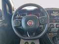 Fiat Panda Panda III 2021 Cross Panda 1.0 firefly hybrid Cit Gris - thumbnail 11
