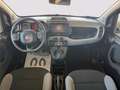 Fiat Panda Panda III 2021 Cross Panda 1.0 firefly hybrid Cit Gris - thumbnail 13