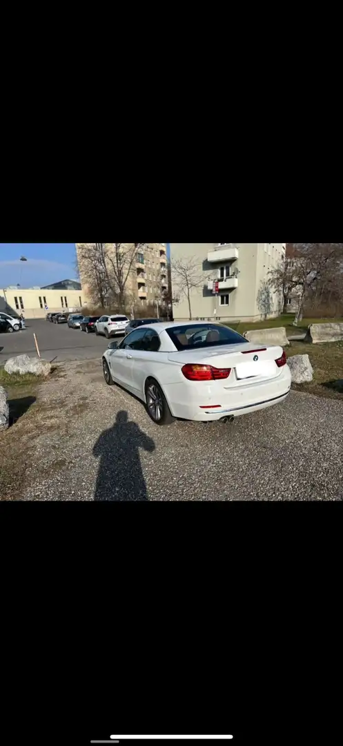 BMW 435 435d xDrive Cabrio Luxury Line Aut. - 2
