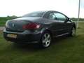 Peugeot 307 2.0-16V Grijs - thumbnail 6