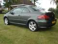 Peugeot 307 2.0-16V Grijs - thumbnail 4