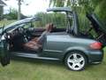Peugeot 307 2.0-16V Grijs - thumbnail 3