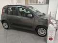 Fiat Panda Panda 1.2 Easy 5 POSTI Gris - thumbnail 3