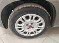 Fiat Panda Panda 1.2 Easy 5 POSTI Gris - thumbnail 7