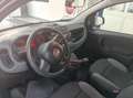 Fiat Panda Panda 1.2 Easy 5 POSTI Gris - thumbnail 18