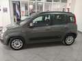 Fiat Panda Panda 1.2 Easy 5 POSTI Gris - thumbnail 8