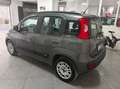 Fiat Panda Panda 1.2 Easy 5 POSTI Gris - thumbnail 5