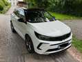 Opel Grandland Grandland 1,5 Diesel Ultimate Aut. Start/Stop Ultimate Weiß - thumbnail 10