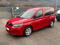 Volkswagen Caddy 2.0 TDI 122 CV DSG California Червоний - thumbnail 10