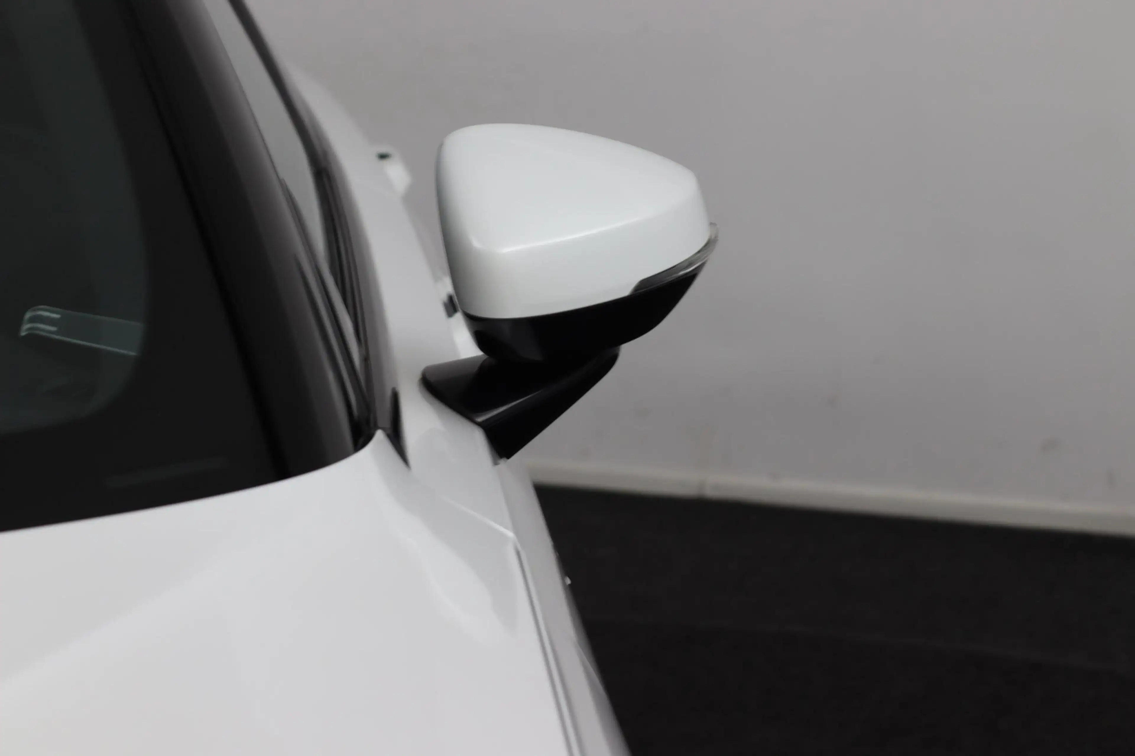 Polestar 2 Long Range Single Motor 78 kWh Panoramadak! Rijkla — photo 17