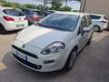 Fiat Punto 1.3 MJT 75CV - OK NEOPATENTATI Blanc - thumbnail 1
