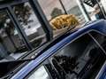 Volkswagen Golf GTE 1.4 TSI|245 PK|PANO|ACC|TREKHAAK|CARPLAY Blauw - thumbnail 45