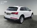 Audi Q5 Quattro S-Line Massage-Sitze*S-Tronic*PDC Weiß - thumbnail 6