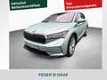 Skoda Enyaq iV 80x 194kW 1-Gang 4x4 *AHK*KAMERA*ACC* Silber - thumbnail 1