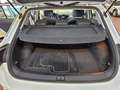 Volkswagen T-Roc 1.0 TSI 115 CV Style BlueMotion Technology Bianco - thumbnail 12