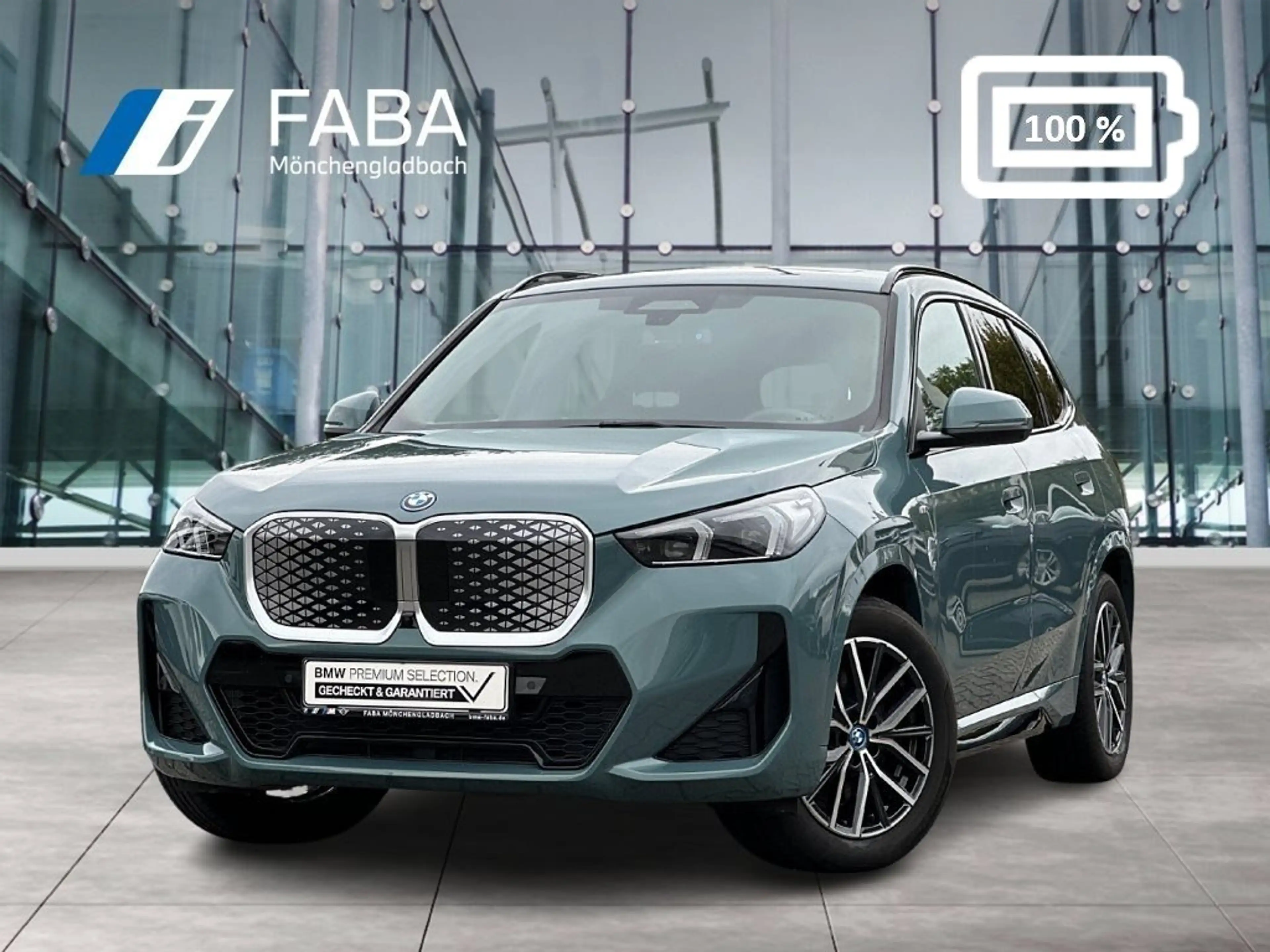 BMW iX1 xDrive30 M Sportpaket Head-Up HK HiFi DAB