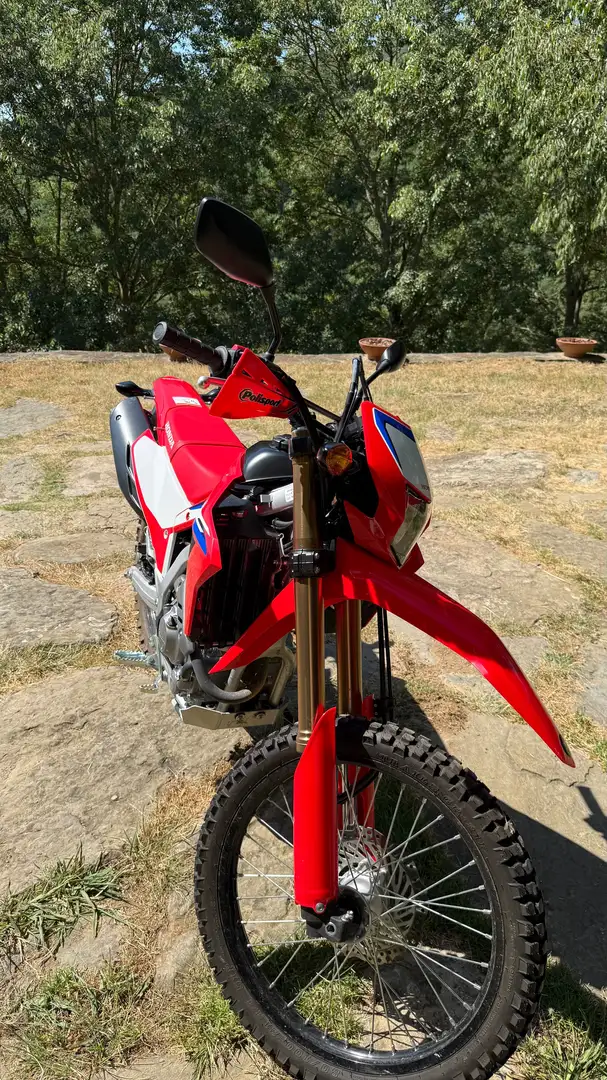 Honda CRF 300 L CRF.   -   L Czerwony - 2