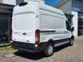 Ford Transit Kasten L2H3 Trend Navi 360°Kamera -56% Weiß - thumbnail 12