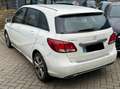 Mercedes-Benz B 180 B 180 d Automatic Premium Nero - thumbnail 9