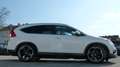 Honda CR-V 1,6i-DTEC Executive 4WD Aut. *AHK*Vollausstattung* Weiß - thumbnail 12