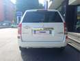 Suzuki Grand Vitara Grand Vitara 1.9 DDiS 5 porte Crossover Bianco - thumbnail 5