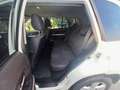 Suzuki Grand Vitara Grand Vitara 1.9 DDiS 5 porte Crossover Bianco - thumbnail 7