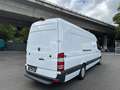 Mercedes-Benz Sprinter 316 CDI Maxi XXL extralang Sortimo Regal Blanco - thumbnail 3