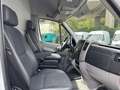 Mercedes-Benz Sprinter 316 CDI Maxi XXL extralang Sortimo Regal Blanco - thumbnail 33