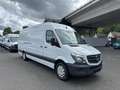 Mercedes-Benz Sprinter 316 CDI Maxi XXL extralang Sortimo Regal Blanco - thumbnail 4