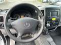 Mercedes-Benz Sprinter 316 CDI Maxi XXL extralang Sortimo Regal Blanco - thumbnail 12