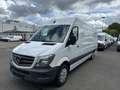 Mercedes-Benz Sprinter 316 CDI Maxi XXL extralang Sortimo Regal Blanco - thumbnail 2