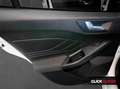 Ford Focus 1.0 Ecoboost 125CV MHEV ST-Line Weiß - thumbnail 13