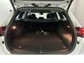 Kia Ceed SW / cee'd SW cee´d Sportswagon 1.6 Plug-in Hybrid Spirit Techni Weiß - thumbnail 8
