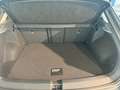 Volkswagen T-Roc 1.5 TSI+Kamera+ACC Standheizung+Navigation Grau - thumbnail 9