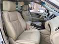Infiniti QX70 3.7 GT Aut. Blanco - thumbnail 22
