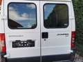 Citroen Jumper Jumper Luxus-Bus 2850/2,8t 1,9 TD Weiß - thumbnail 2