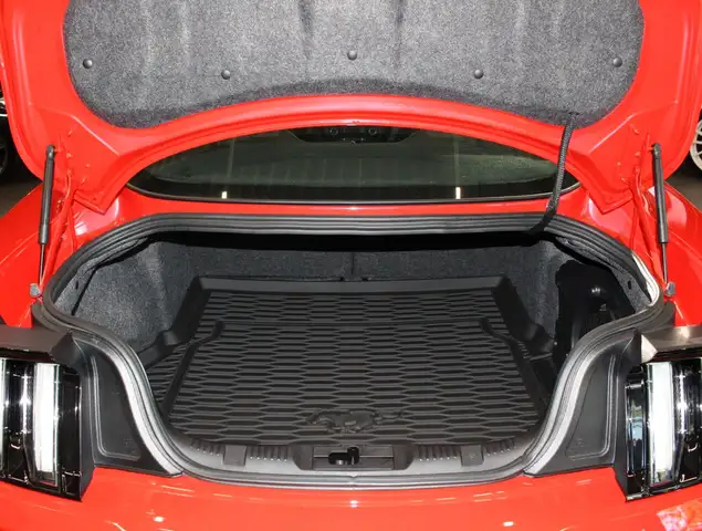 Ford Mustang view 7