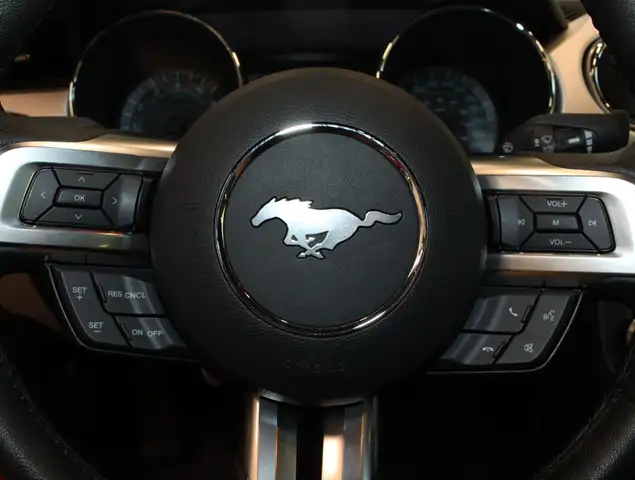 Ford Mustang view 15