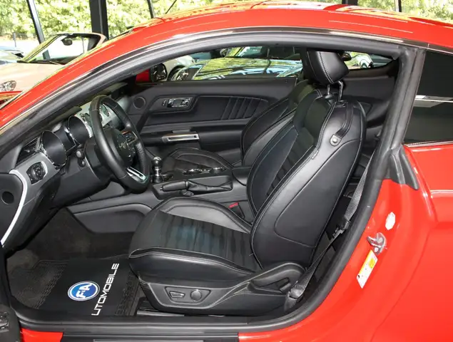 Ford Mustang view 10