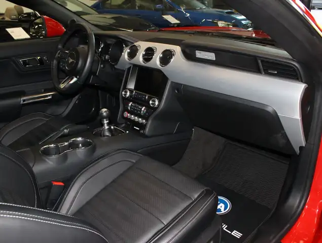 Ford Mustang view 9