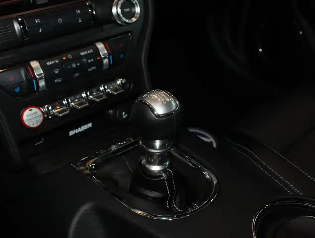 Ford Mustang view 13
