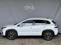 Suzuki S-Cross SX4 Shine Allgrip 1,4 DITC Hybrid Weiß - thumbnail 5