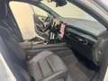 Renault Austral E-TECH FULL HYBRID 200 ch ESPRIT ALPINE Blanc - thumbnail 16