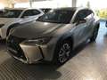 Lexus UX 300e Premium Gri - thumbnail 1