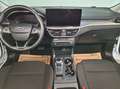 Ford Focus 1.5 EcoBlue Titanium, AHK, LED, Weiß - thumbnail 8